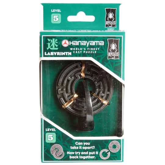 Hanayama Labyrinth Level 5 Cast Puzzle